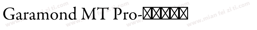 Garamond MT Pro字体转换